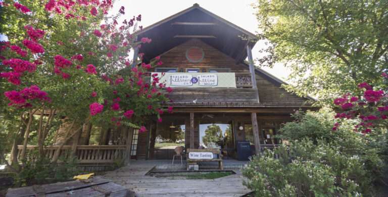 IMG 1115 1030x523 1 768x390