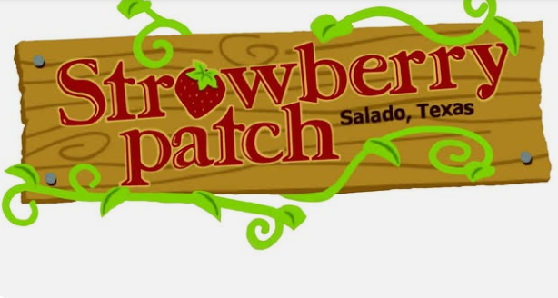 Screenshot 2025 10 14 145143