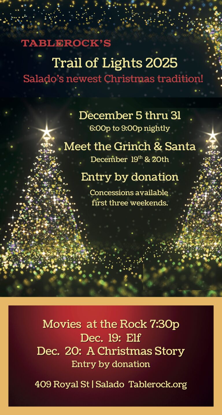 SVV Triail of Lights 2025 768x1431