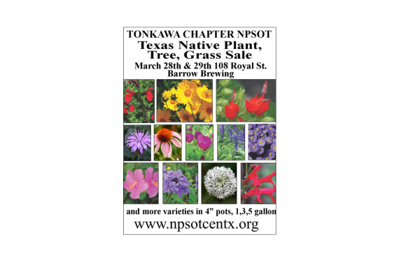 Website Images 580x386 1