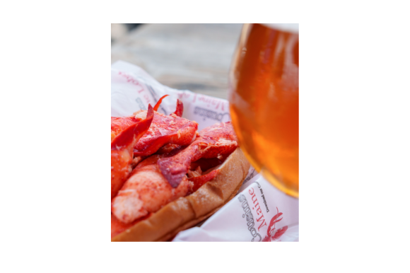 Website Images 580x386 48