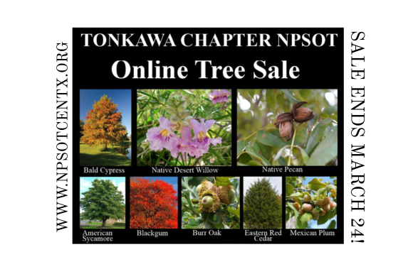 Website Images 580x386 67