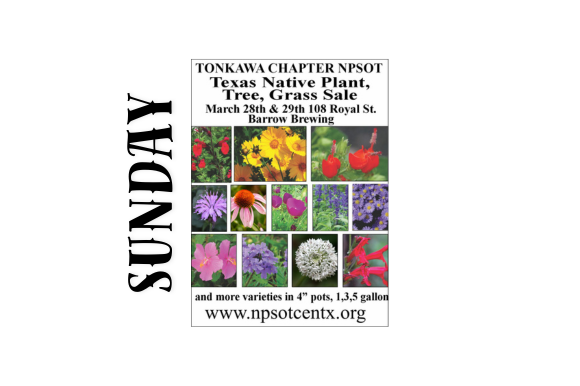 Website Images 580x386 7