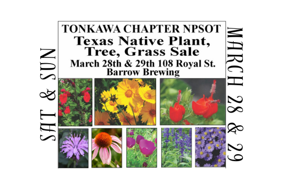 Website Images 580x386 82