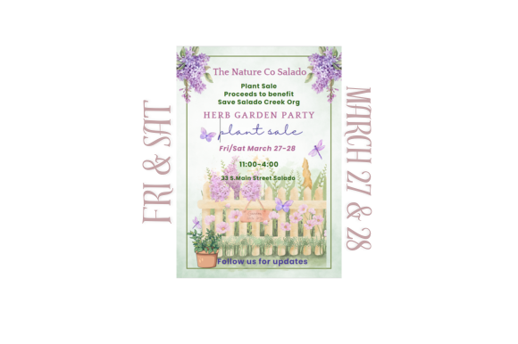 Website Images 580x386 25